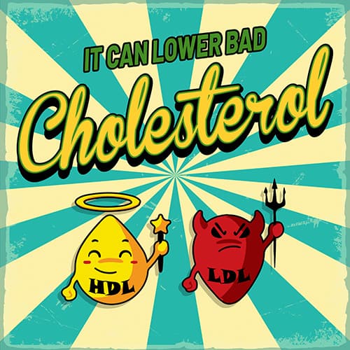 improve cholesterol